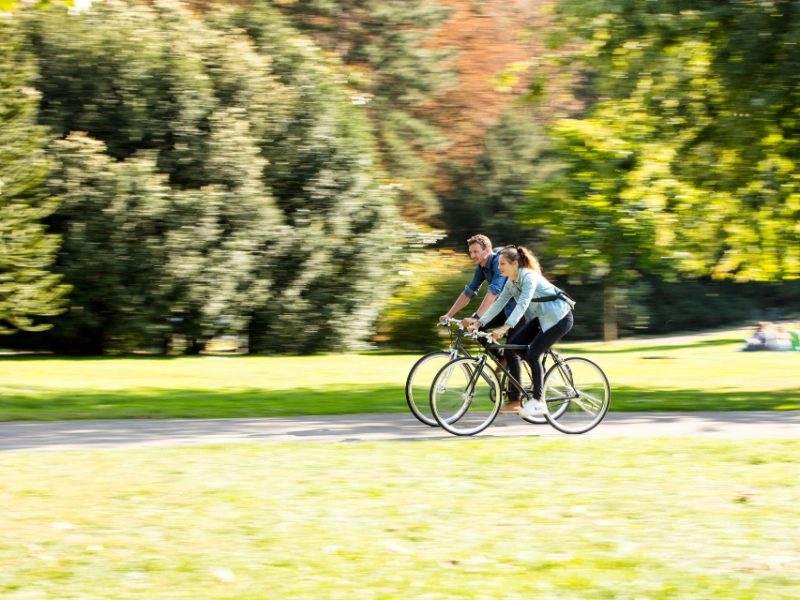 Zwei Radler:innen fahren durch den sonnigen Park, seitliche Ansicht Zwei Radler:innen fahren durch den sonnigen Park, seitliche Ansicht